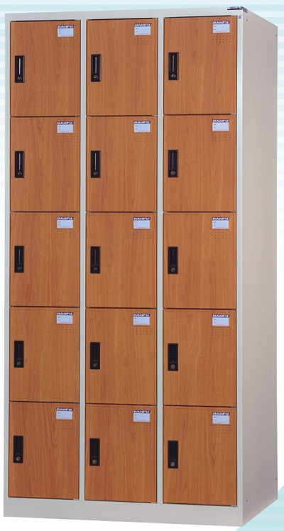 15人木紋塑鋼門片置物櫃/衣物櫃 DF-E5015FF